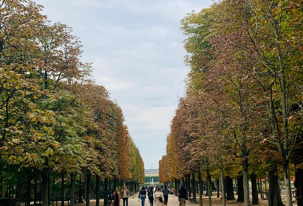 Tree-lined walking route through an autumn park
