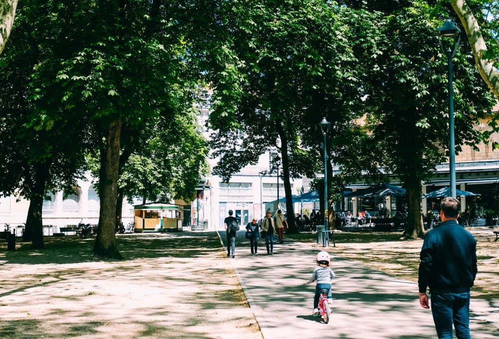 People enjoying a tree-lined public park